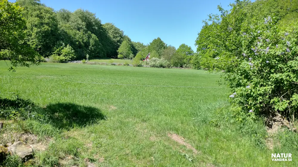 Röd liten stuga Söderåsens Skåne