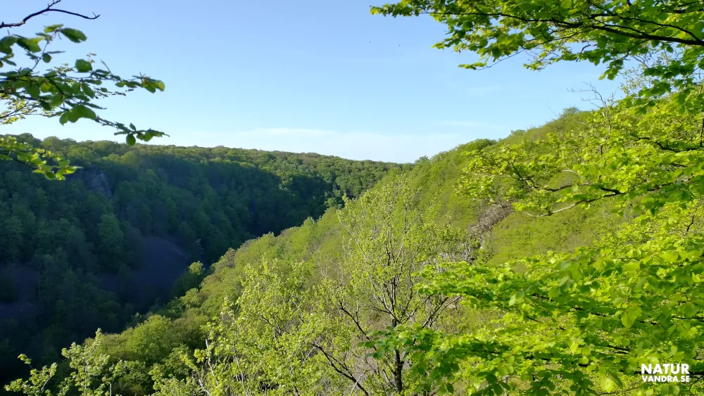 Utblick mot Skäralidsdalen längs Hjortsprångsrundan Söderåsens nationalpark Skåne