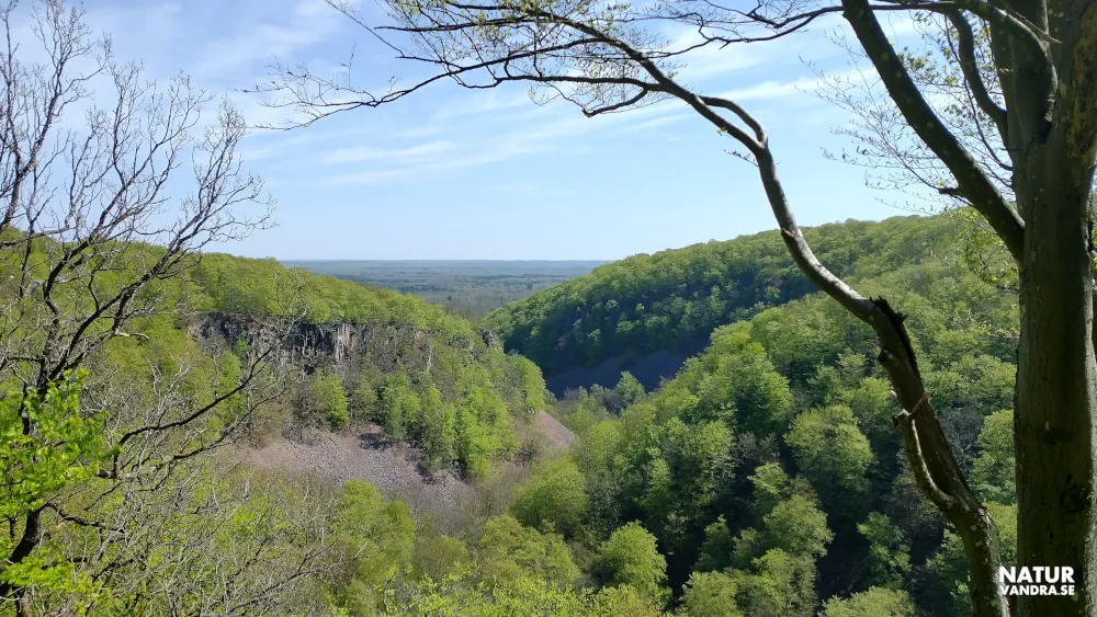 Utsikt Kopparhatten Söderåsens nationalpark Skåne