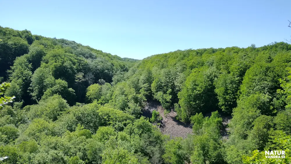 Utsiktplats Lierna längs Hjortsprongsrundan Söderåsens nationalpark Skåne