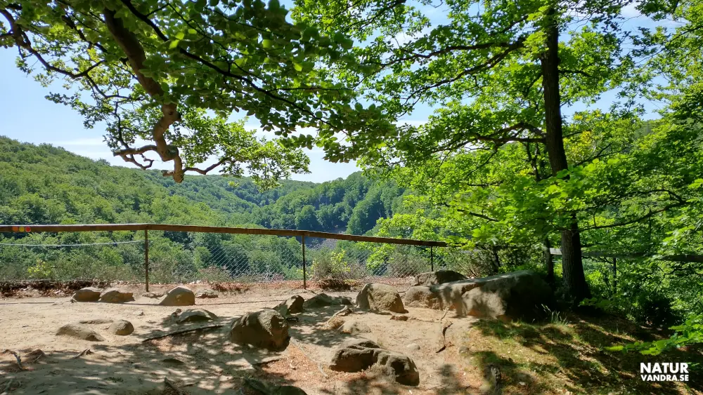 Utsikt mot Kopparhatten Söderåsens nationalpark