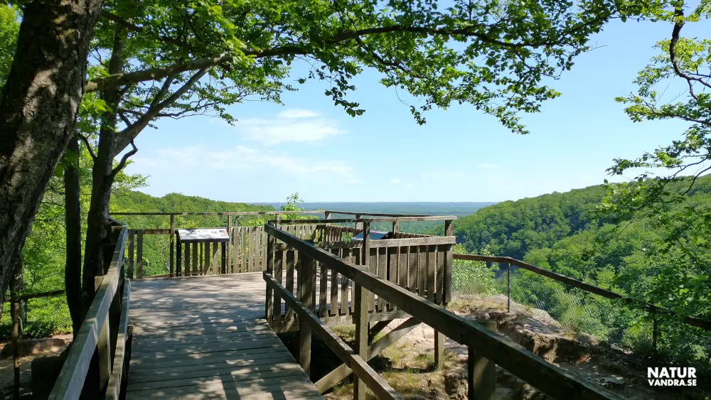Utsiktsplats Kopparhatten Söderåsens nationalpark