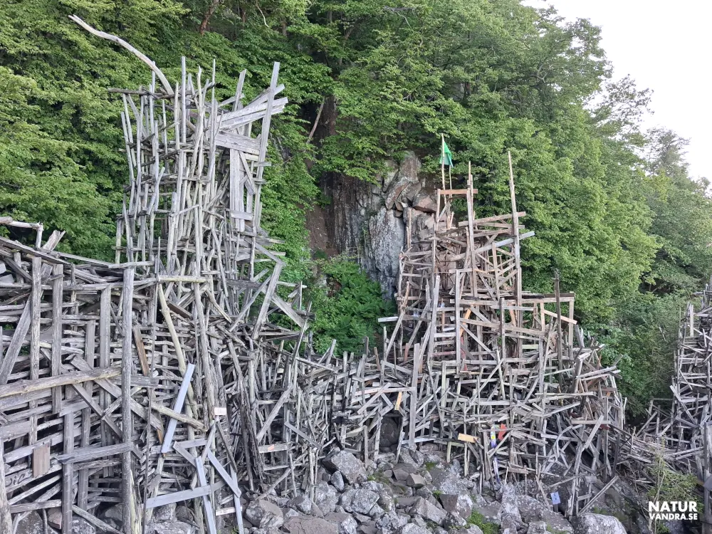 Tunnel av plankor och drivved Nimis Kullaberg