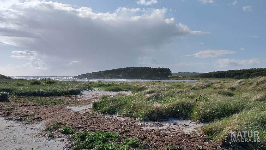 Norra delen av stranden vid Långasand Halland