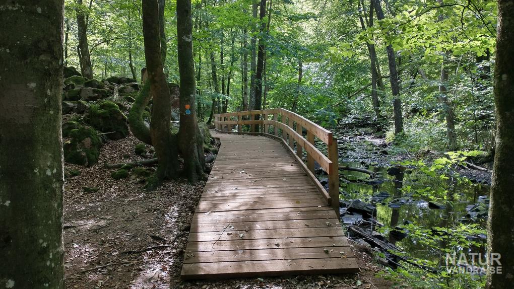 Ny ramp längs Hjortsprangsrundan Söderåsens nationalpark i Skåne