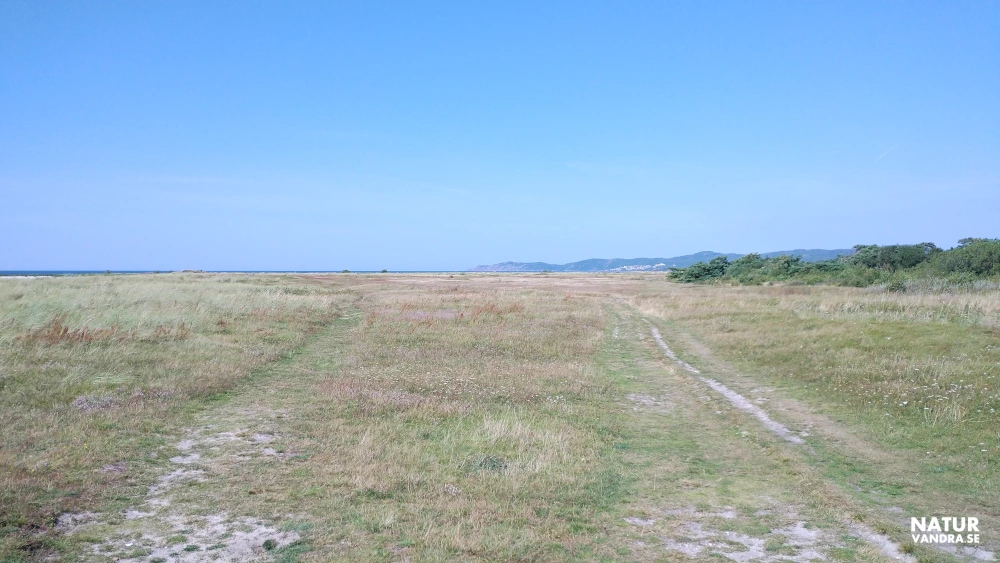 Nyhamnsläge Strandbadens kusthed Skåne