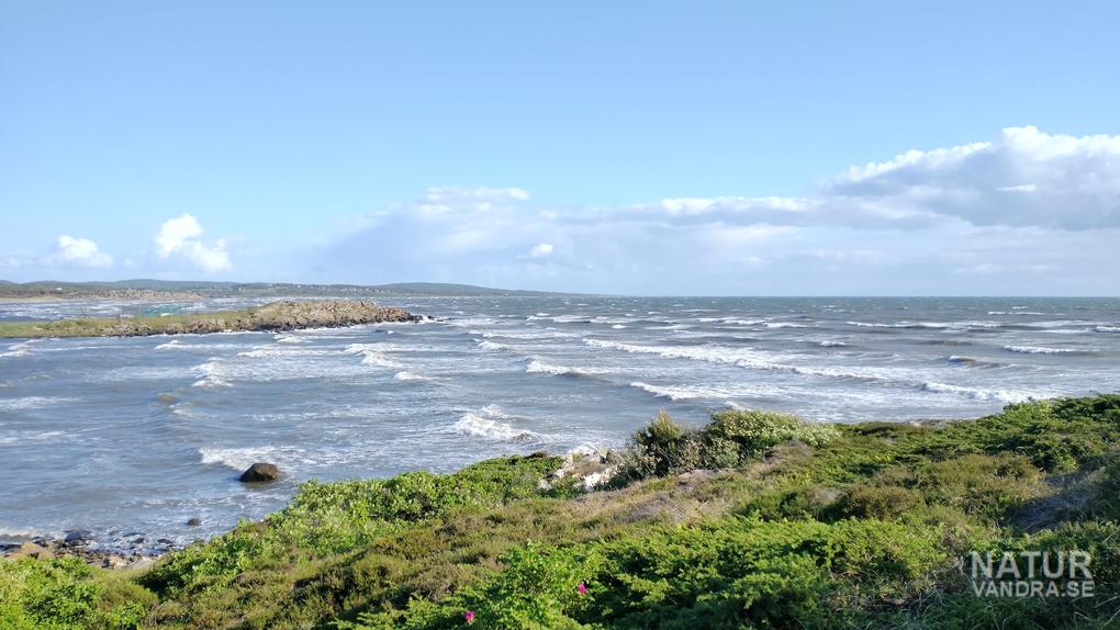 Utblick från Boabjäret mot Pålsviken och Garnbjär Vesslunda naturreservat Halland
