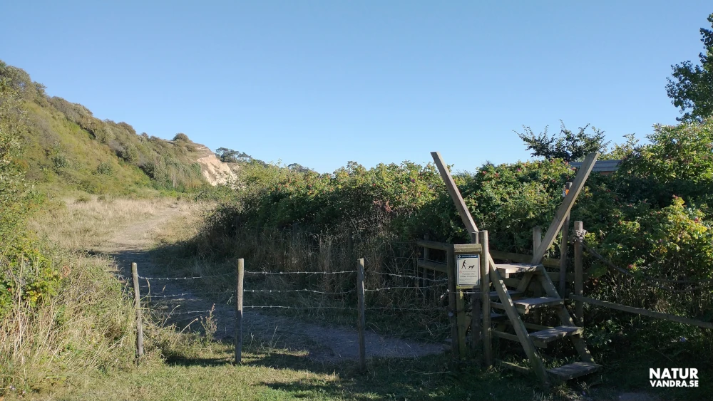 Stig mot Sandberget i Hilleshögs dalar