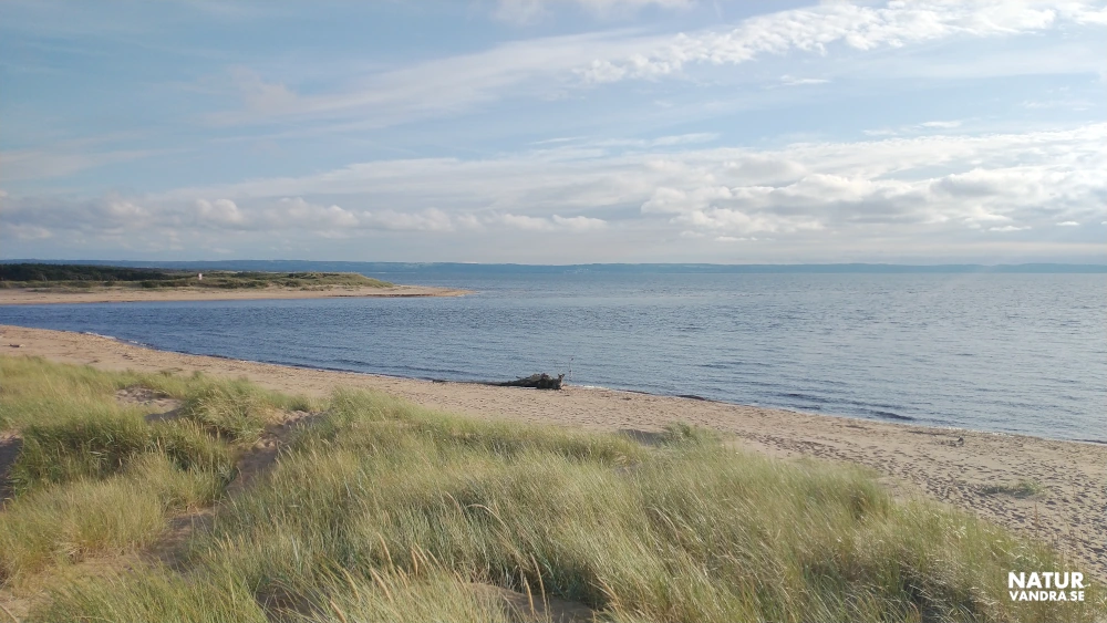 Utblick från sanddyner vid Lagaoset söder om Halmstad