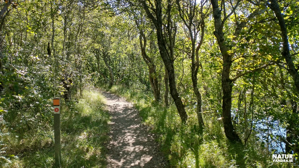 Vandrings längs Genevadsån Gullbranna naturreservat Halland