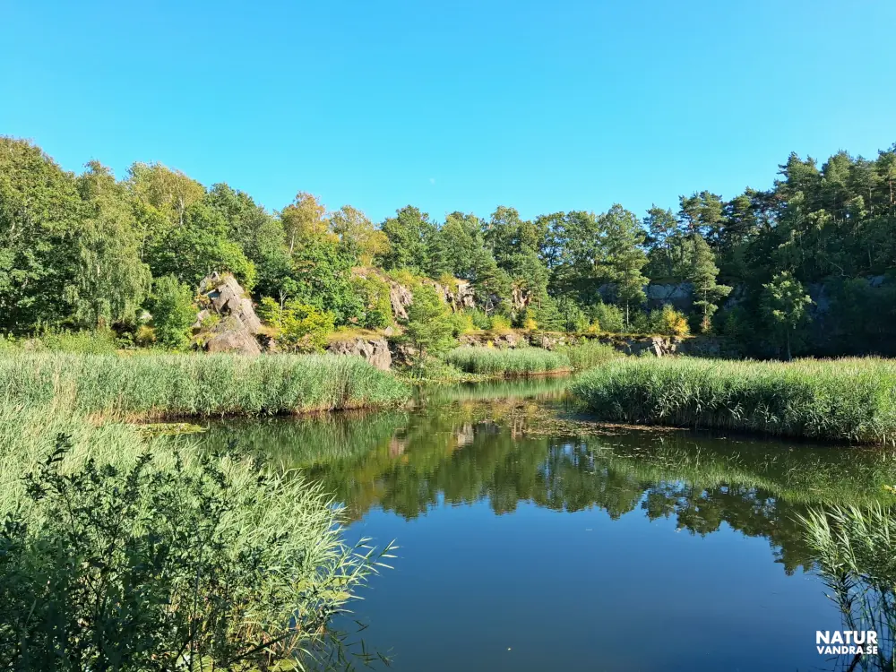 Stenbrottet i Svanshall som blivit en damm