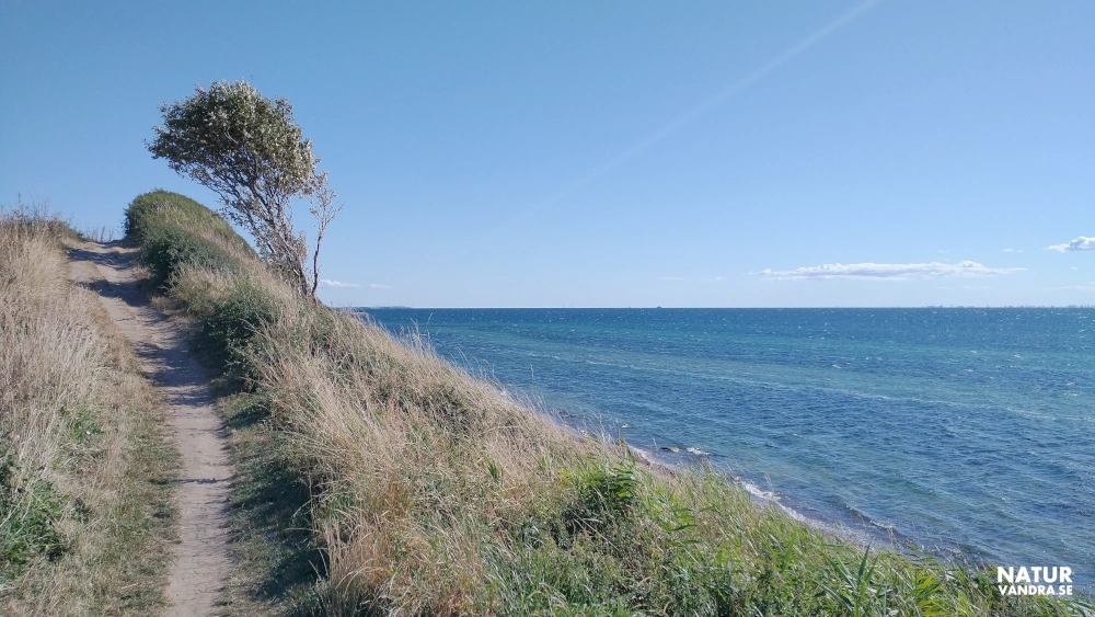 Utblick mot havet från Glumslövs backar