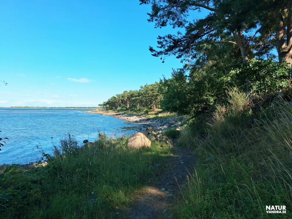 Stig längs havet i höjd med Jonstorp vid Skälderviken