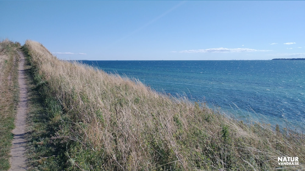 Vandringsstig längs havet och Glumslövs naturreservat