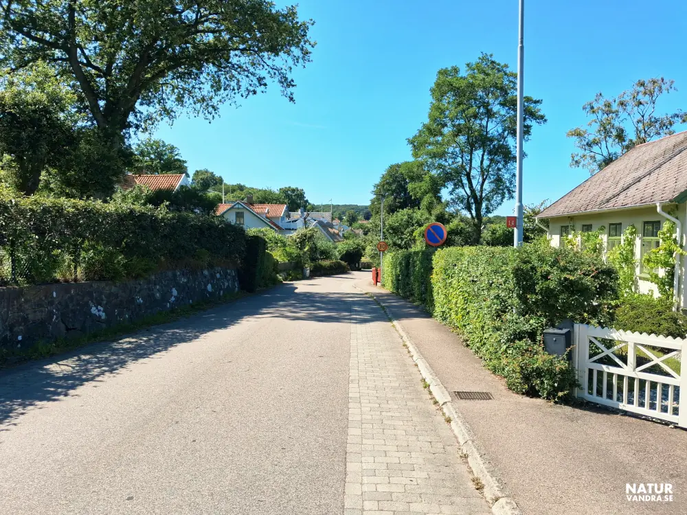 Vy mot Stora Vägen i Arild Nordvästra Skåne