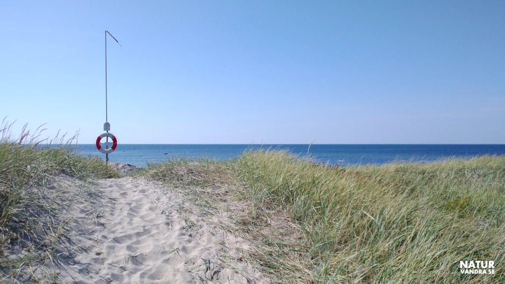 Strand vid Lerberget i Skåne