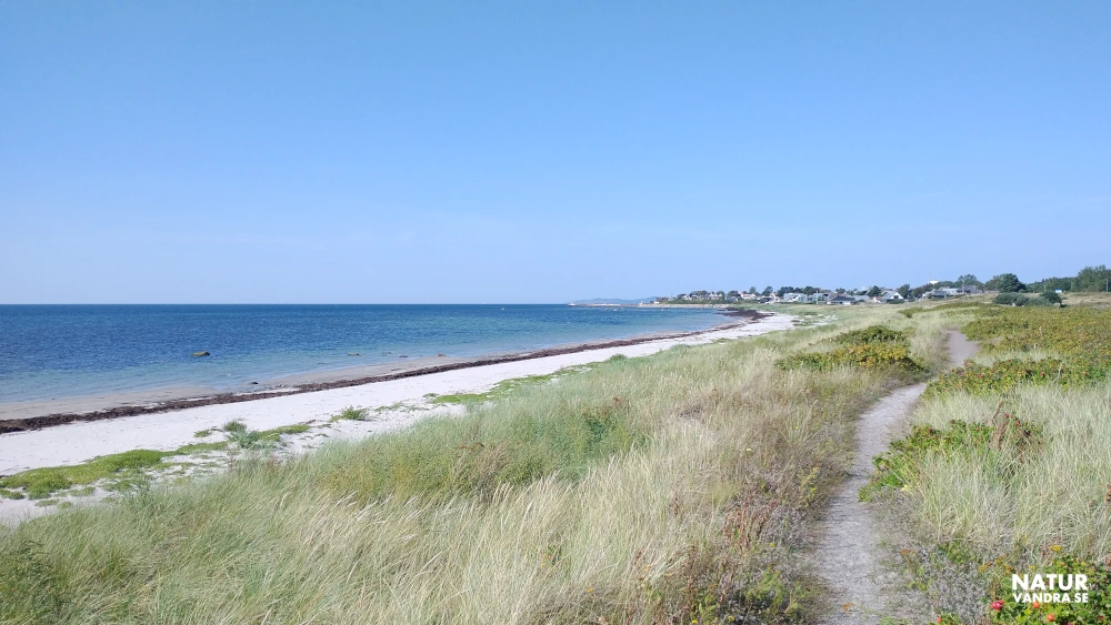 Strand söder om Lerberget