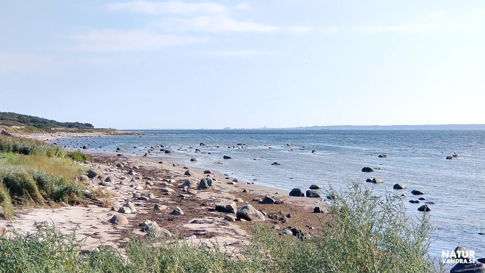 Strand söder om viken i Skåne