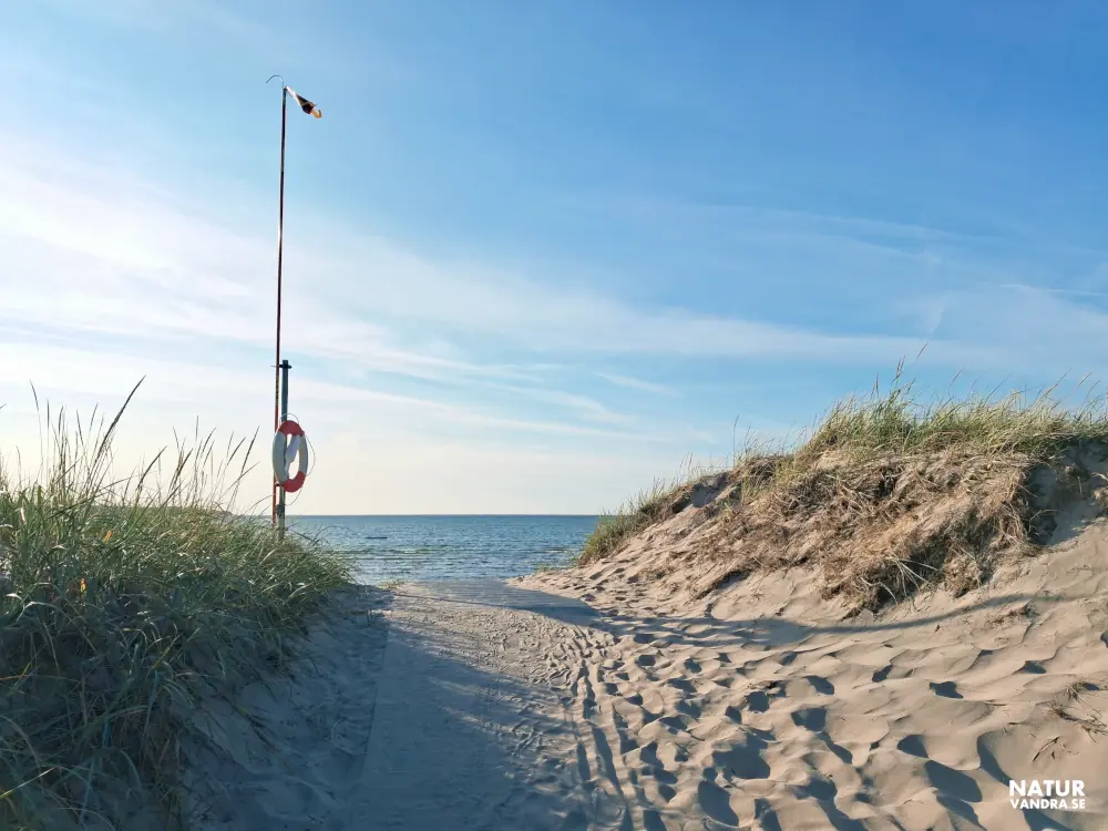 Stranden vid Farhult längs Skälderviken