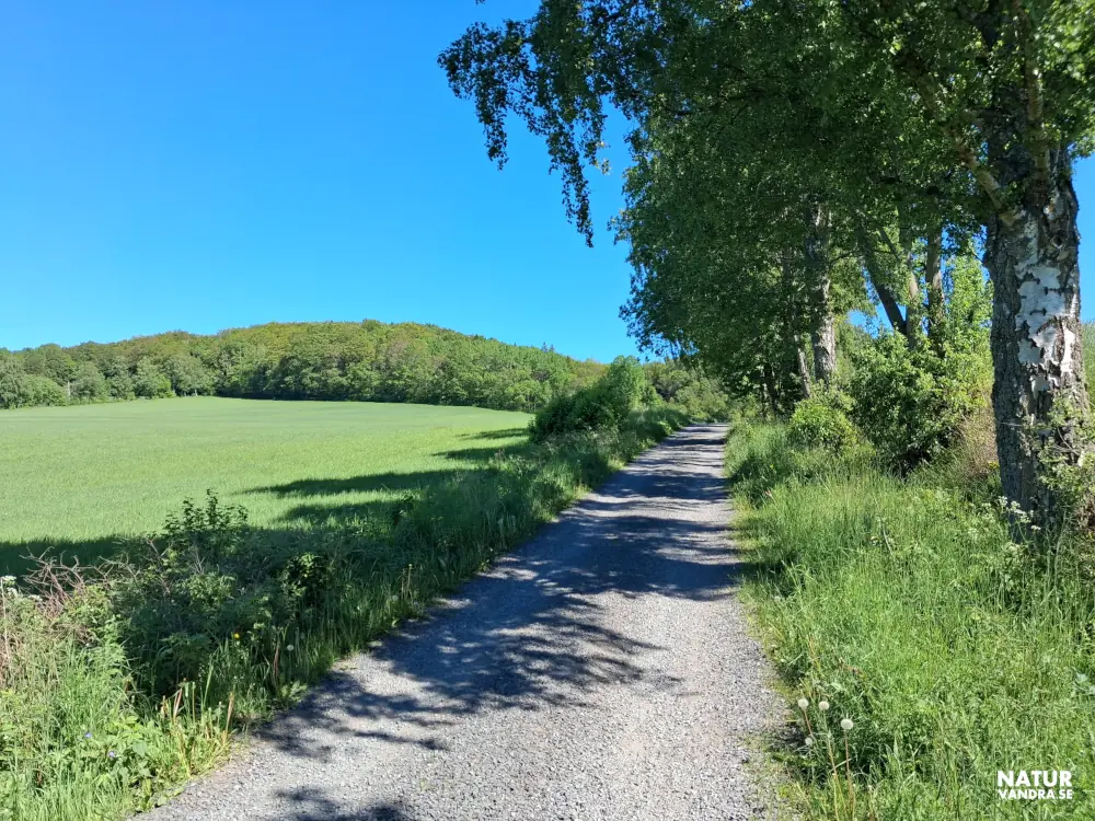 Grusväg Strömsbergs naturreservat Jönköping