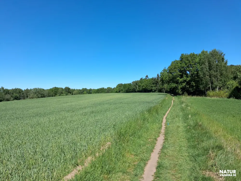 Stig längs öppna fält Strömsbergs naturreservat Jönköping