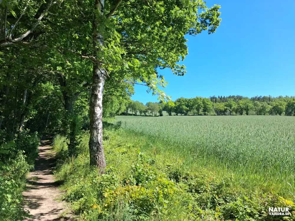 Vackra vyer Strömsbergs naturreservat Jönköping