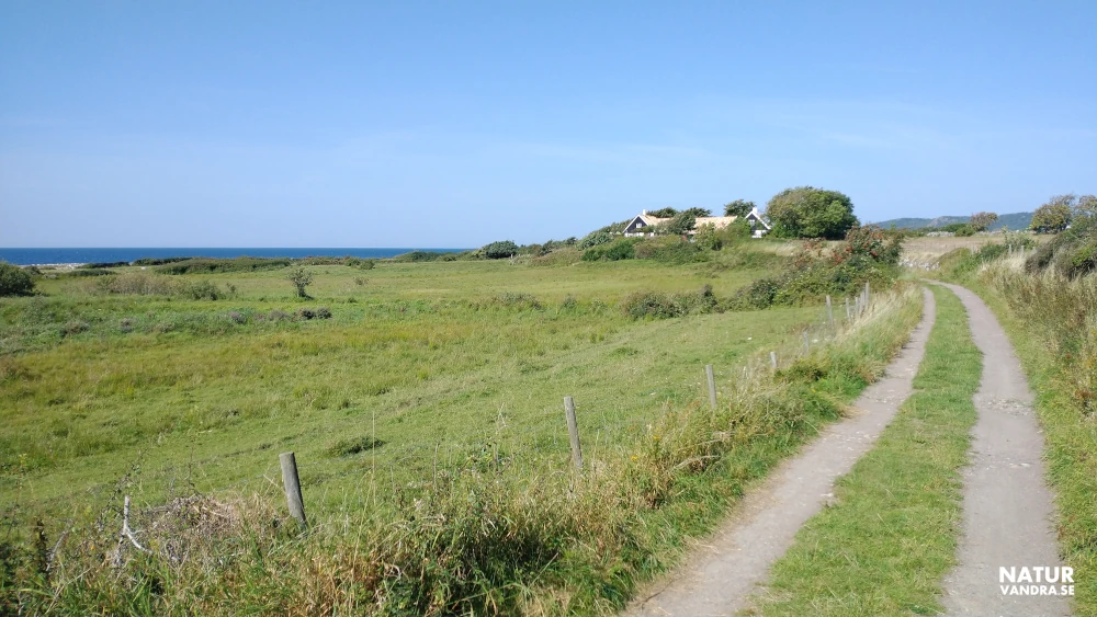 Stuga vid skogsdunge nära havet i Skåne