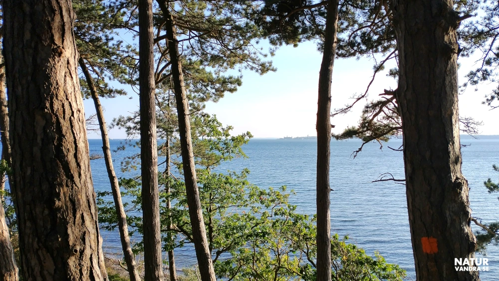 Utblick över Öresund i Skåne