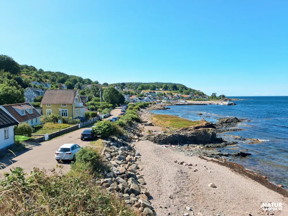 Utblick mot hamnen i Arild