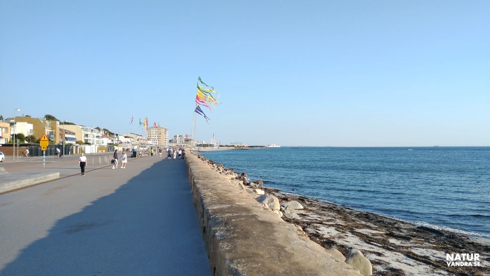 Vandring längs Strandvägen i Helsingborg och Öresund i Skåne