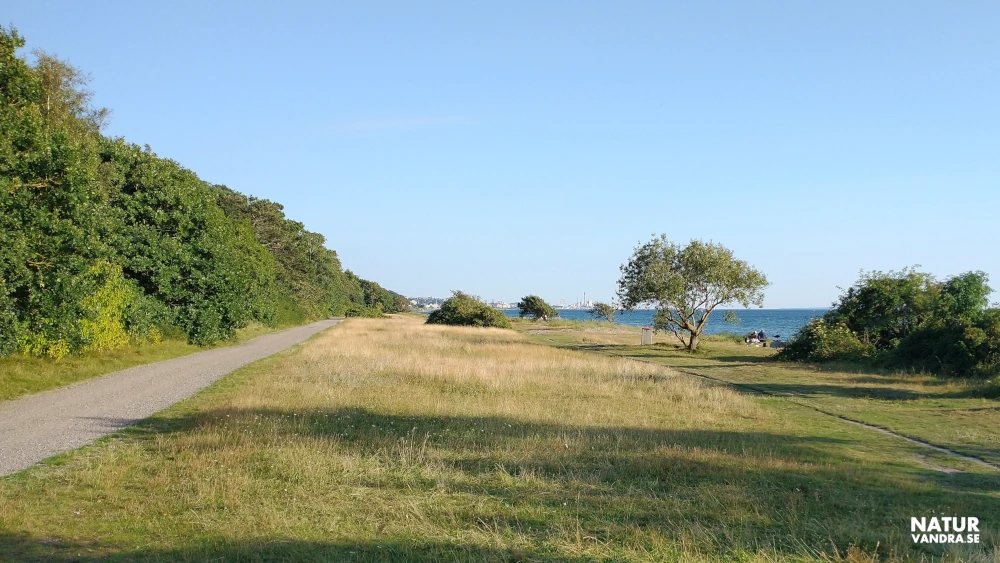 Vandring i längs Öresund i Skåne