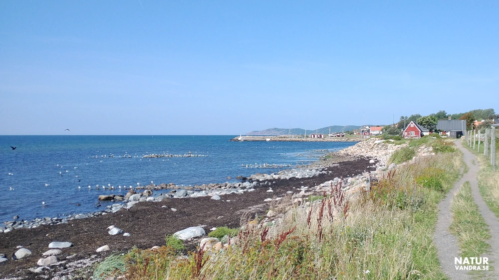 Söder om Lerhamn i Skåne
